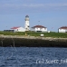 lighthouse_island_seal_machias_h_2286_can0992.jpg